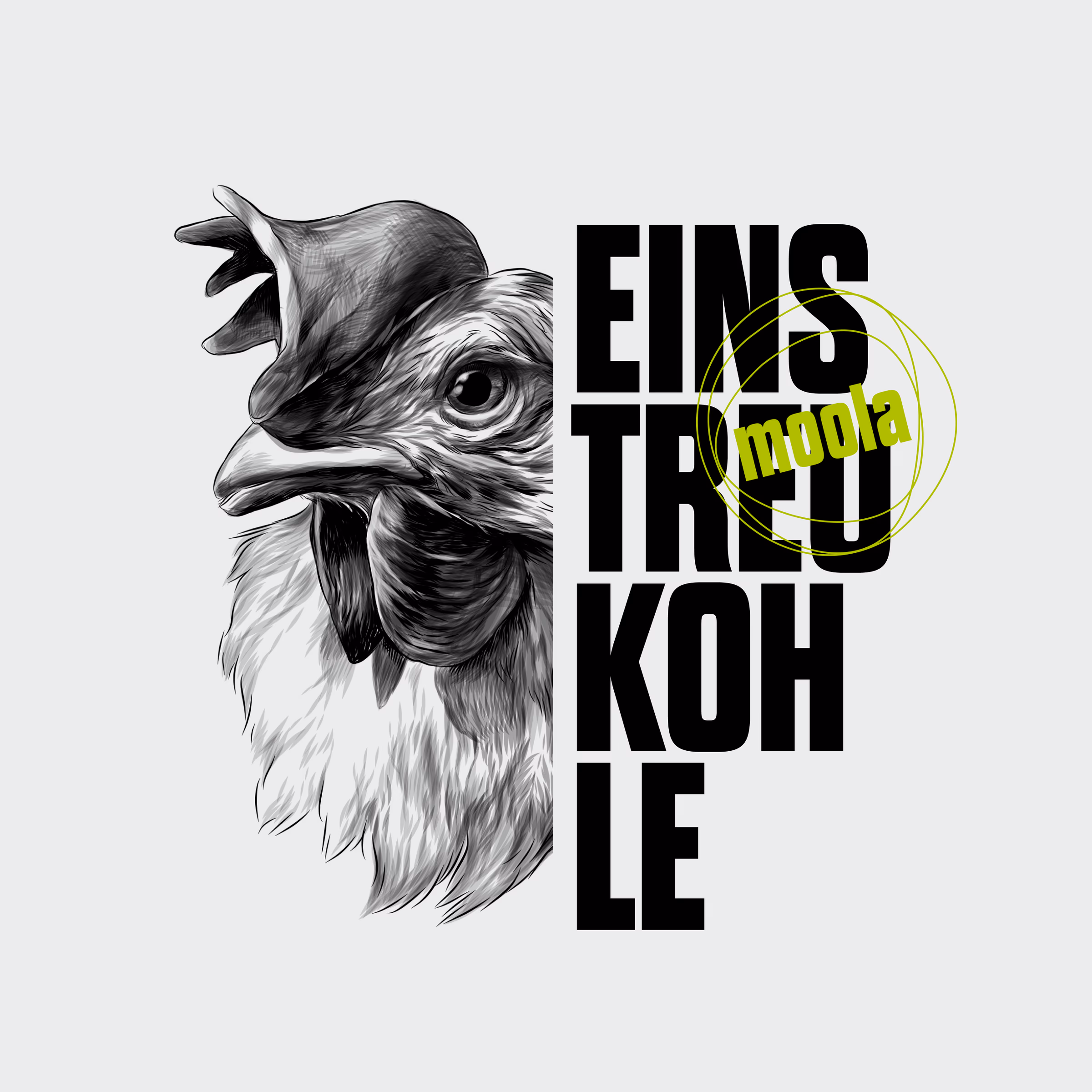 Moola Key Visual – Hühner-Illustration im Engraving-Stil mit Einstreukohle-Typografie