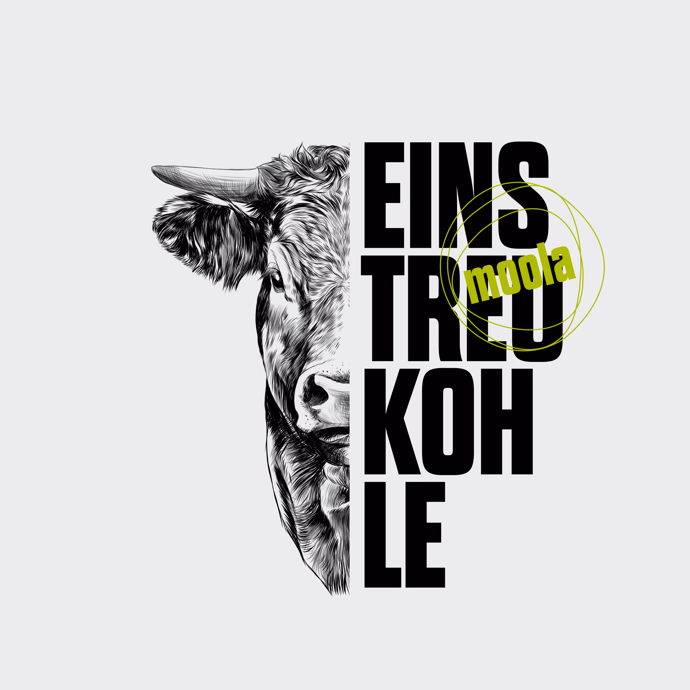 Moola Key Visual – Rinder-Illustration im Engraving-Stil mit Einstreukohle-Typografie
